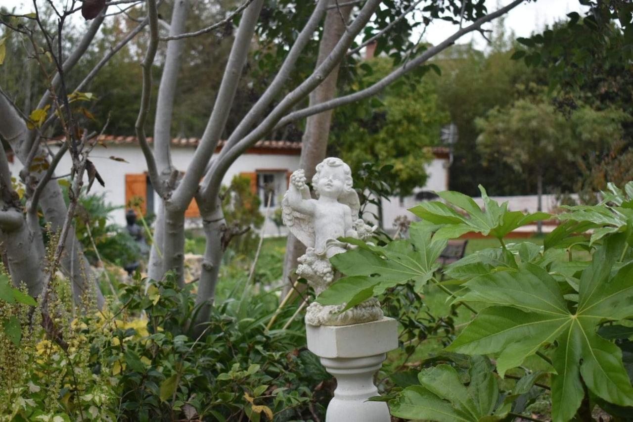 L'Oranger - Magnifique Studio Independant Sur Mougins Avec Jacuzzi Prive - Parking - Climatisation Εξωτερικό φωτογραφία